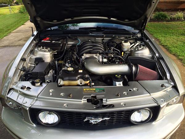 What did you do with your Mustang today?*-image-1790731306.jpg