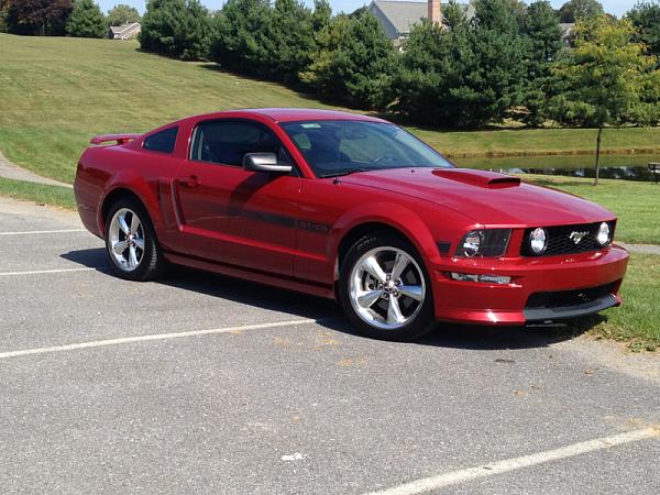 What did you do with your Mustang today?*-image-1177063731.jpg