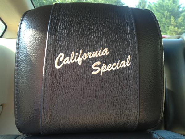 What did you do with your Mustang today?*-image-1926734111.jpg