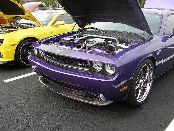 What did you do with your Mustang today?*-p9215557.jpg