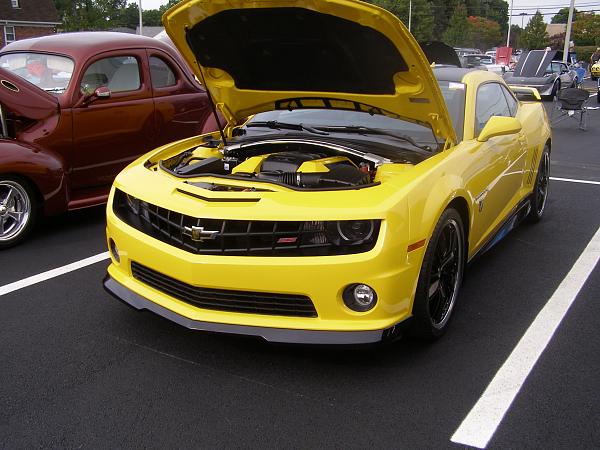 What did you do with your Mustang today?*-p9215554-copy.jpg