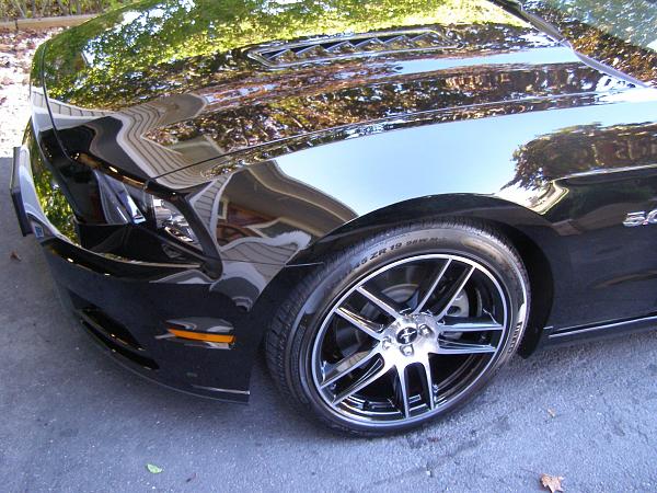 What did you do with your Mustang today?*-003.jpg