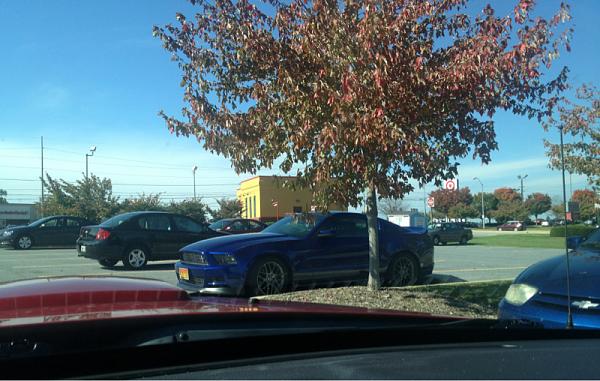 What did you do with your Mustang today?*-image-3017903063.jpg