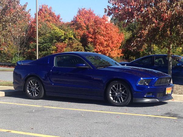 What did you do with your Mustang today?*-image-2592460774.jpg