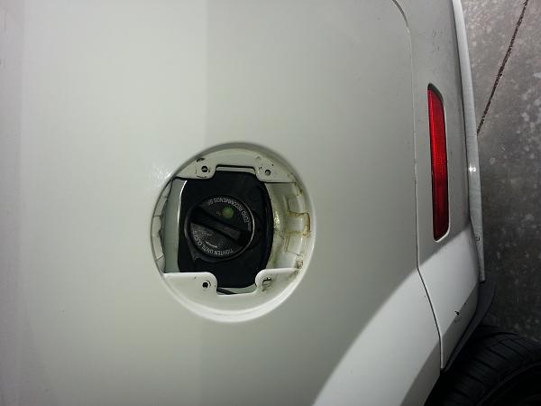 What did you do with your Mustang today?*-20141017_152937-1-.jpg