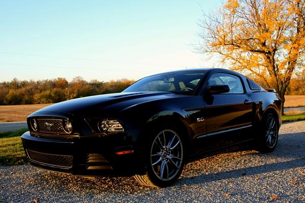 What did you do with your Mustang today?*-img_0387.jpg