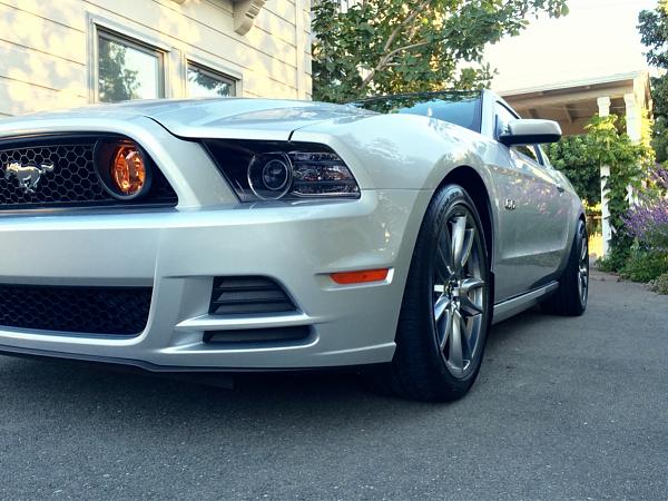 What did you do with your Mustang today?*-image-947796740.jpg