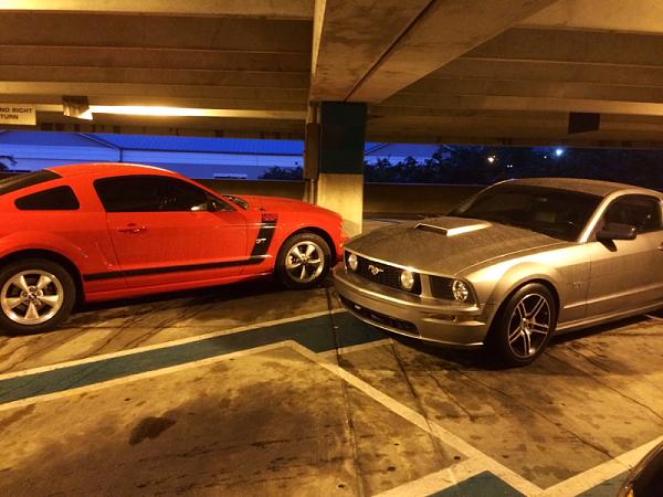 What did you do with your Mustang today?*-image-3154181983.jpg