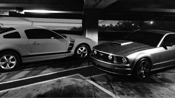 What did you do with your Mustang today?*-image-1071765595.jpg