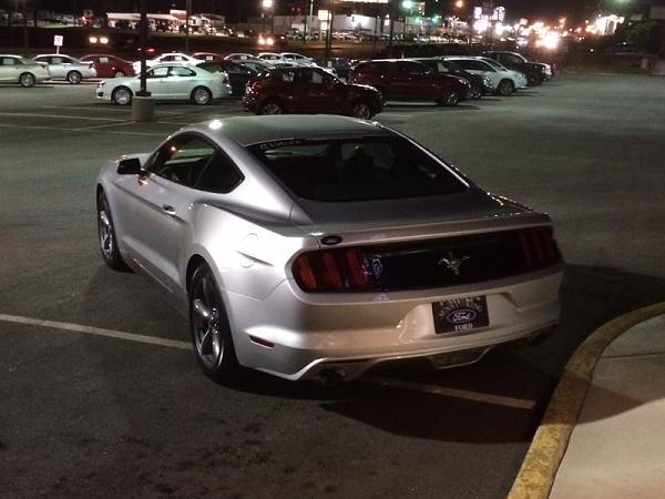 What did you do with your Mustang today?*-image-4275019556.jpg