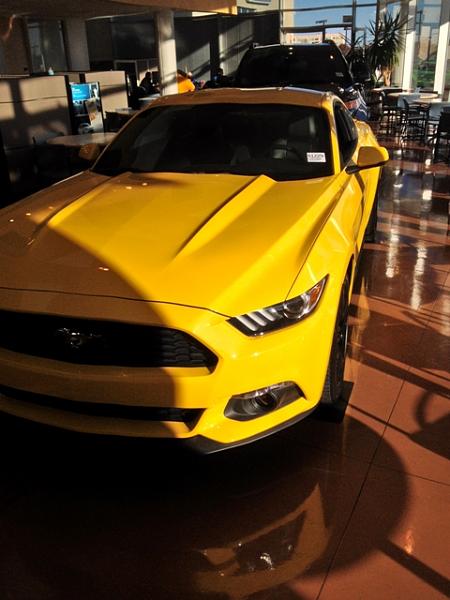 What did you do with your Mustang today?*-004.jpg