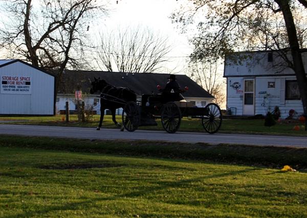 What did you do with your Mustang today?*-img_0472.jpg