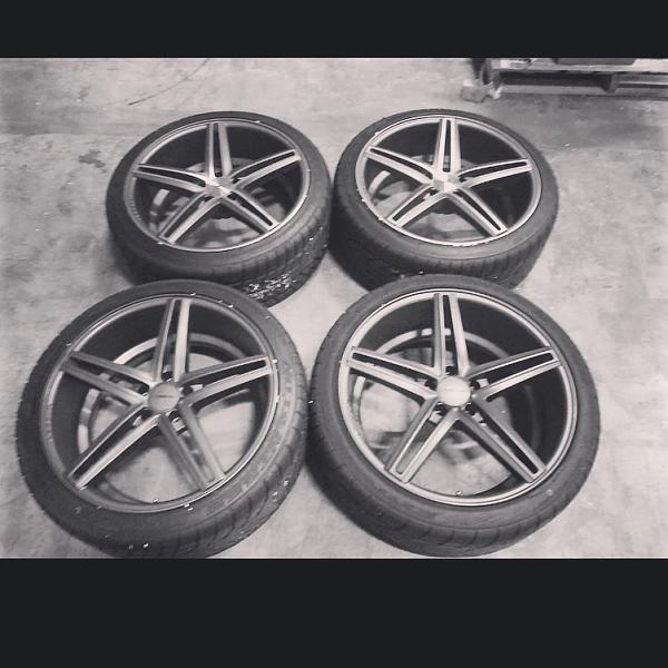 What did you do with your Mustang today?*-image-574840564.jpg