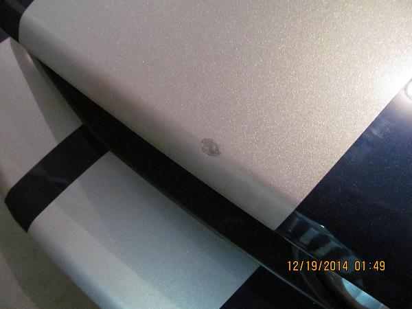 What did you do with your Mustang today?*-img_1052.jpg