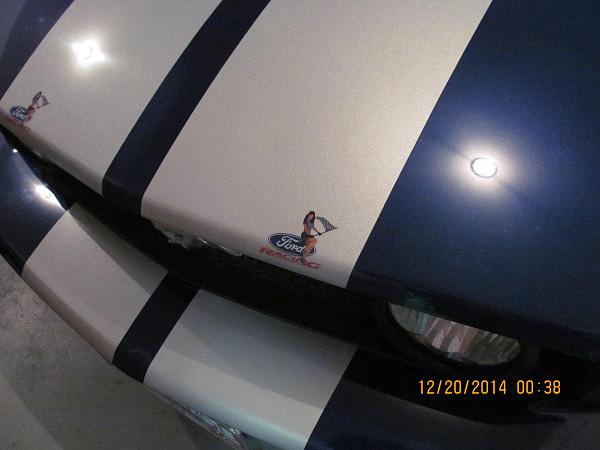 What did you do with your Mustang today?*-img_1057.jpg