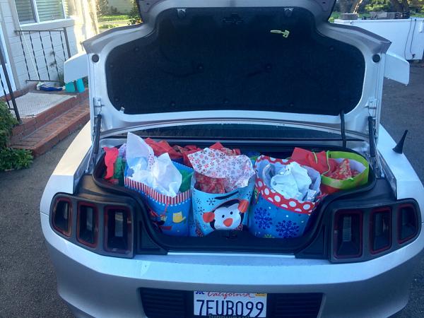 What did you do with your Mustang today?*-image-4148986734.jpg