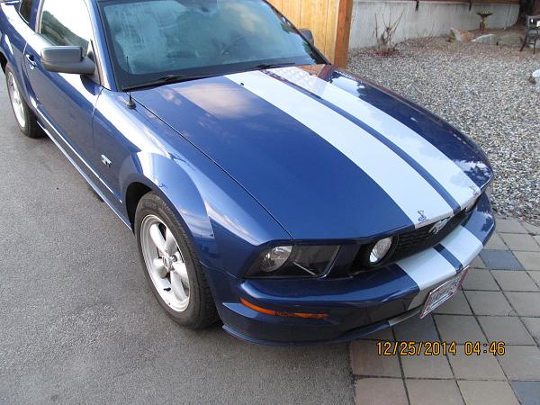 What did you do with your Mustang today?*-img_1064.jpg
