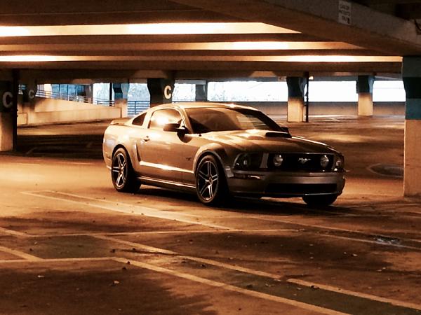 What did you do with your Mustang today?*-image-4224473783.jpg