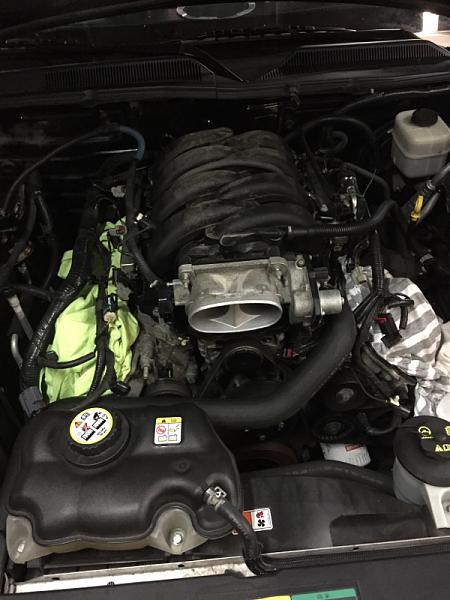 What did you do with your Mustang today?*-image-3229552353.jpg