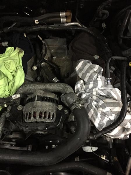 What did you do with your Mustang today?*-image-1054337555.jpg