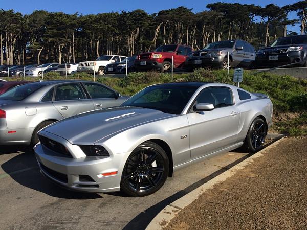What did you do with your Mustang today?*-image-918779640.jpg