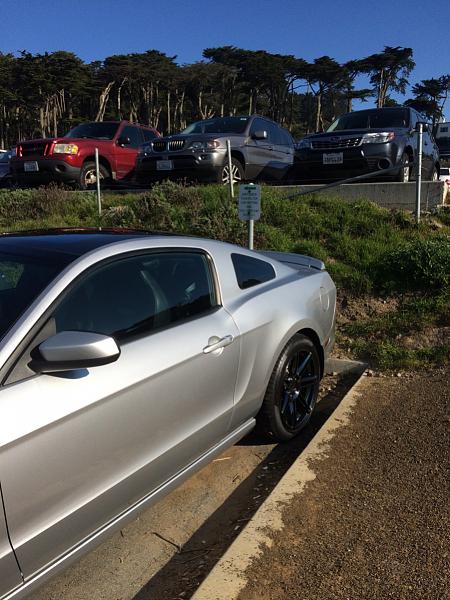 What did you do with your Mustang today?*-image-2293999376.jpg