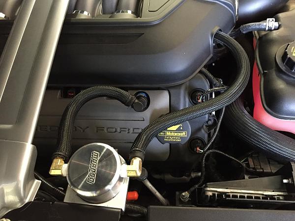 What did you do with your Mustang today?*-img_1200_s.jpg