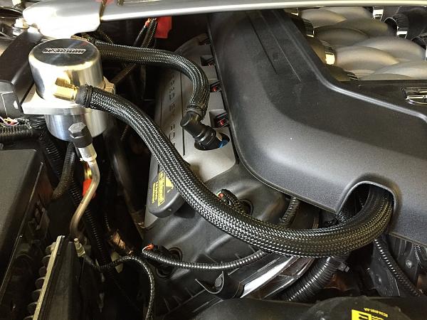 What did you do with your Mustang today?*-img_1201_s.jpg