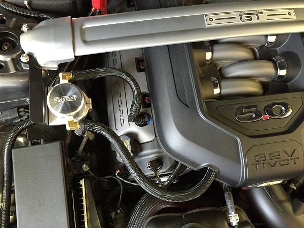 What did you do with your Mustang today?*-img_1202_s.jpg