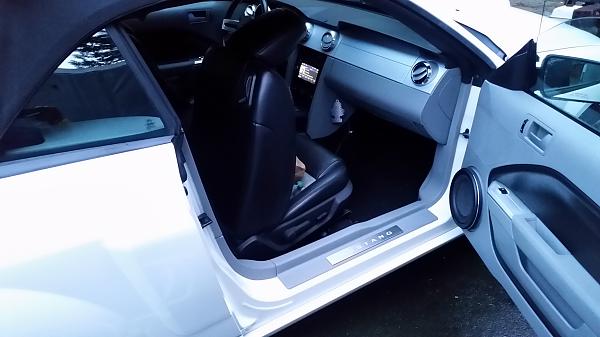 What did you do with your Mustang today?*-1421455643271.jpg