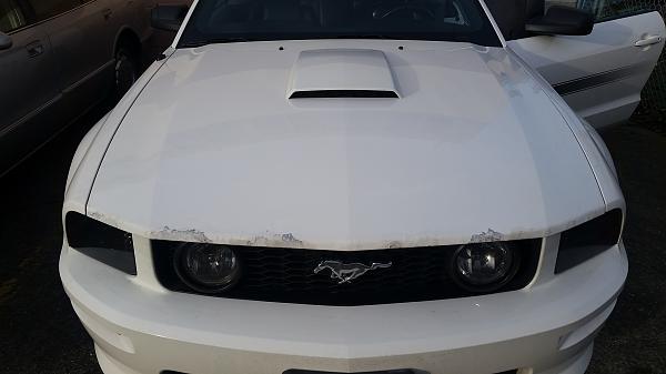What did you do with your Mustang today?*-20150108_143135.jpg