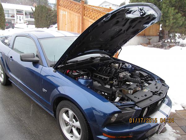 What did you do with your Mustang today?*-img_1083.jpg
