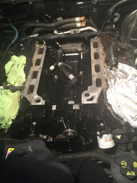 What did you do with your Mustang today?*-image-1522252694.jpg