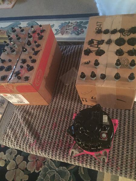 What did you do with your Mustang today?*-image-501369418.jpg