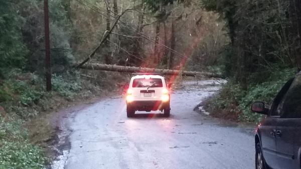 What did you do with your Mustang today?*-20150118_084138.jpg