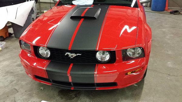 What did you do with your Mustang today?*-image.jpg