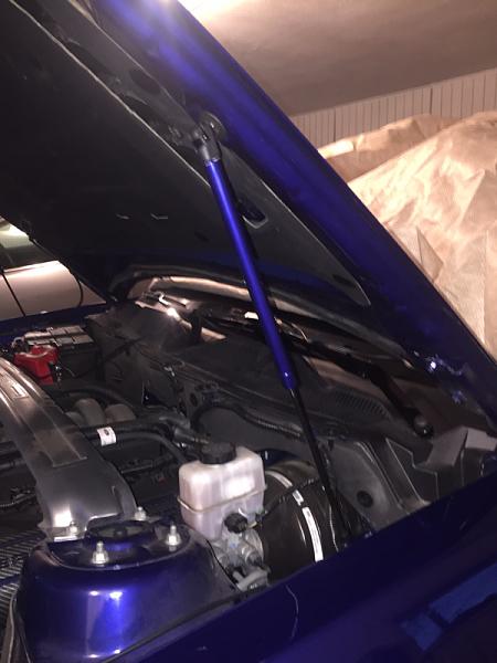 What did you do with your Mustang today?*-image-2421399955.jpg