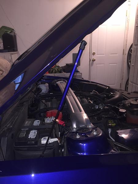 What did you do with your Mustang today?*-image-422124092.jpg