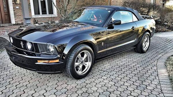 What did you do with your Mustang today?*-10403295_10205050853785255_8178019947181909364_n.jpg