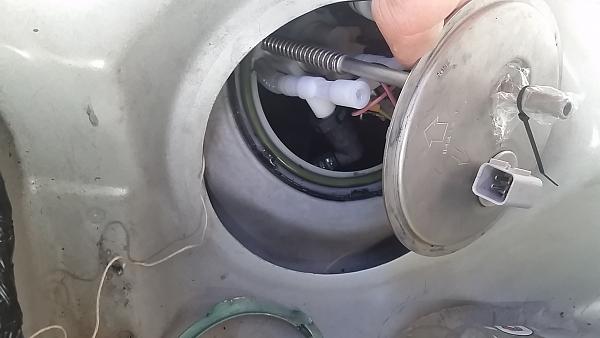 What did you do with your Mustang today?*-20140901_135033.jpg