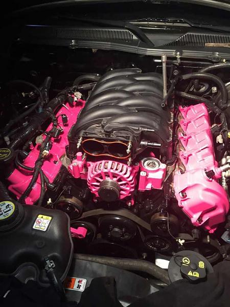 What did you do with your Mustang today?*-image-1914832222.jpg