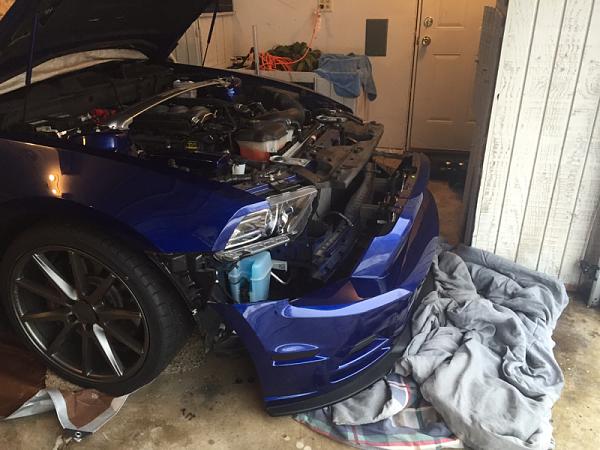 What did you do with your Mustang today?*-image-4174619653.jpg