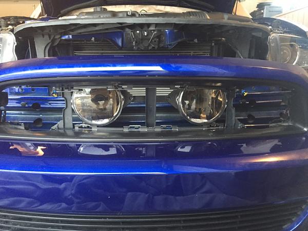 What did you do with your Mustang today?*-image-2296016996.jpg