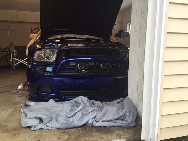 What did you do with your Mustang today?*-image-4079323114.jpg