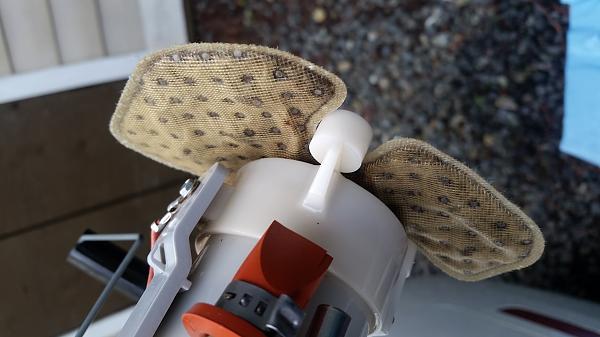 What did you do with your Mustang today?*-20150208_151257.jpg