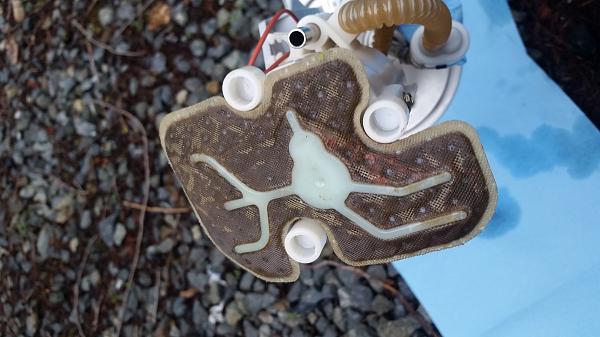 What did you do with your Mustang today?*-20150208_145248.jpg