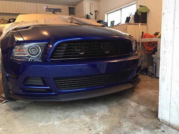 What did you do with your Mustang today?*-image-1785297788.jpg