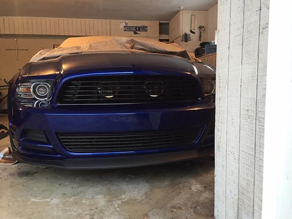 What did you do with your Mustang today?*-image-2072251089.jpg