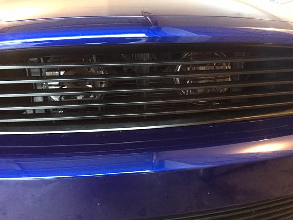 What did you do with your Mustang today?*-image-2393948626.jpg