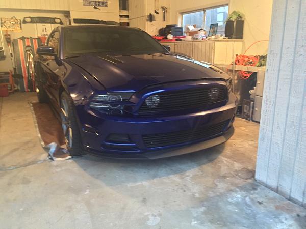 What did you do with your Mustang today?*-image-3274653968.jpg